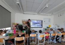 Bilingvní vzdělání je základ pro mezinárodní kariéru